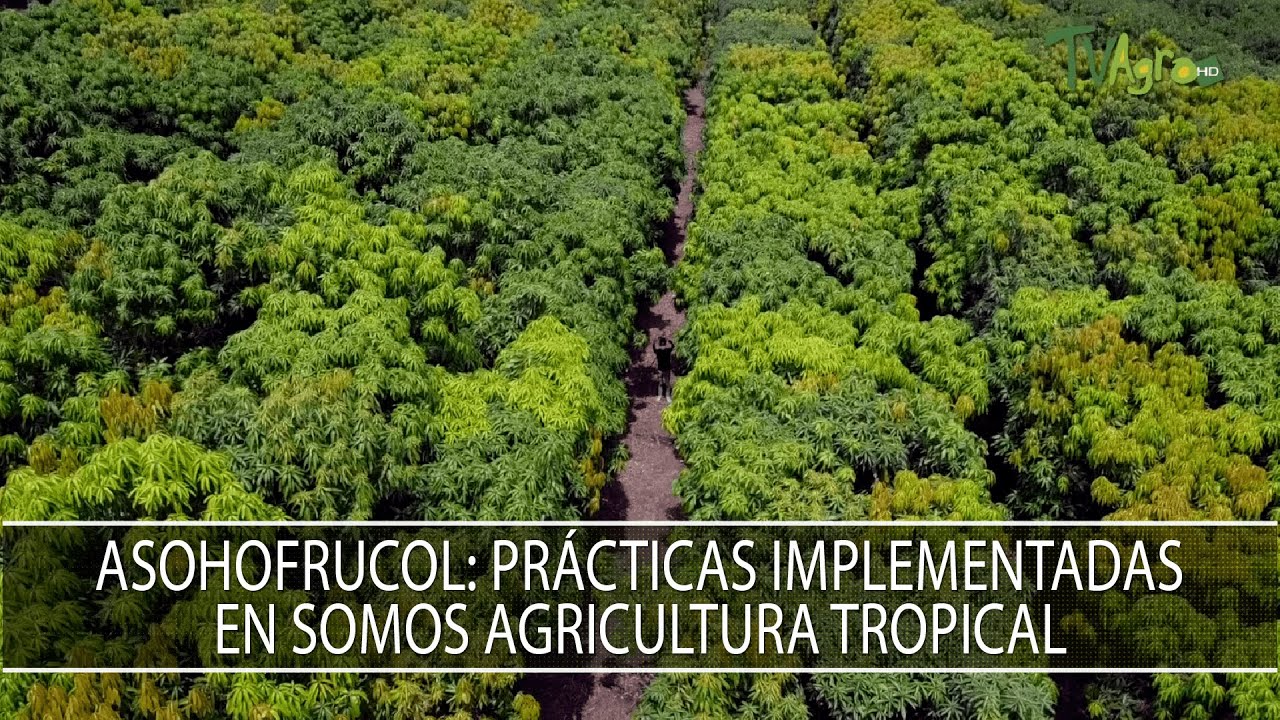 Asohofrucol: Practicas implementadas en somos agricultura tropical - TvAgro por Juan Gonzalo Angel