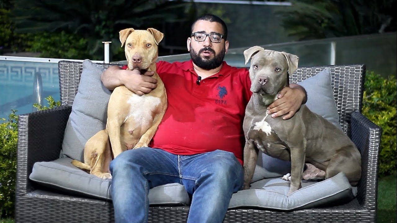 عمرو مرسي وإيكو وميفيس 