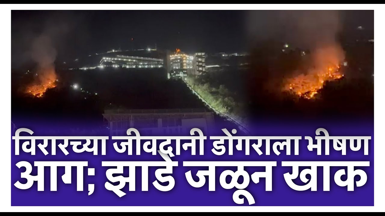विरारच्या जीवदानी डोंगराला भीषण आग; झाडे जळून खाक