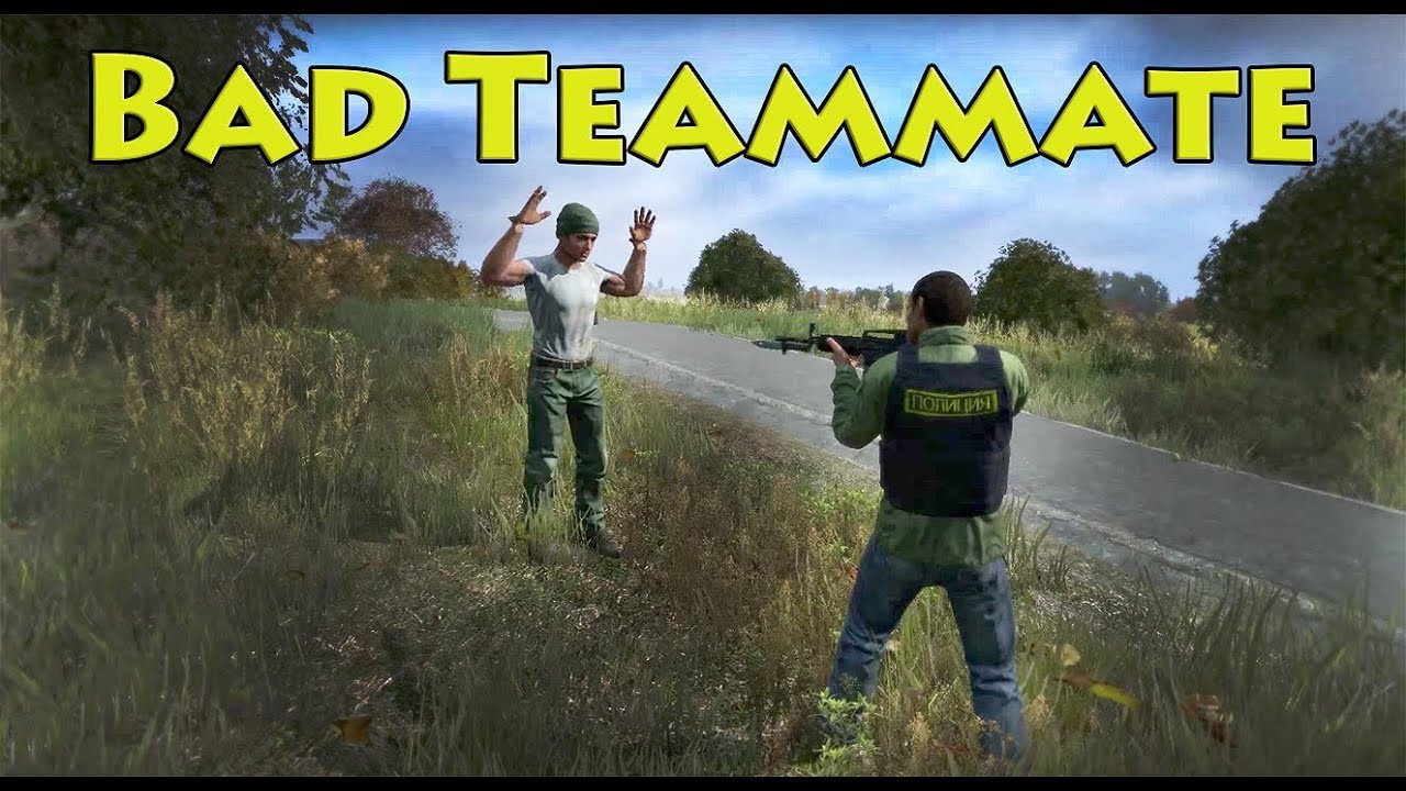 Bad Teammate - Dayz