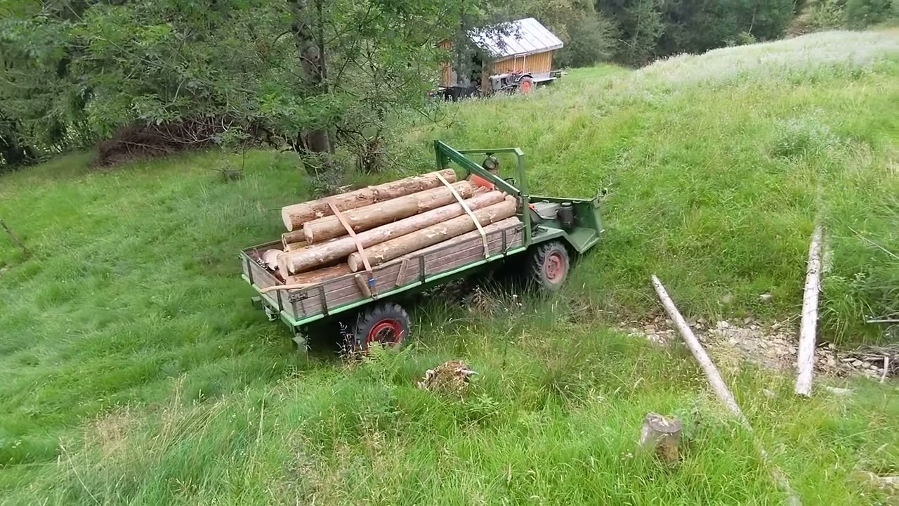 Schilter 1800 beim Holzfahren