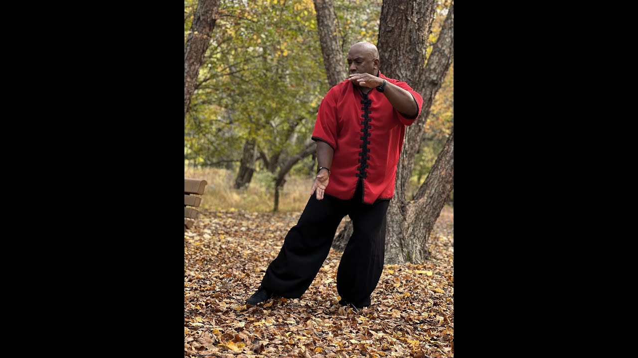 Tai Chi Yang Style  - 16 Step Form