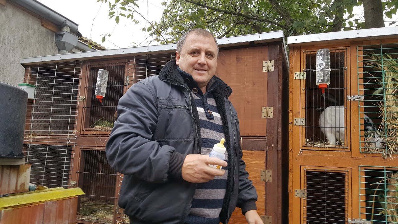 Каким Молоком? Кормим Крольчат 🐰🐰Всё про Дачу