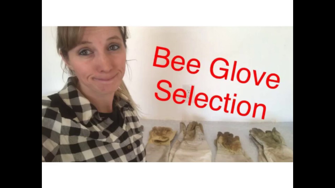 Beekeeping Gloves Review, Pros and Cons, Best Gloves to Buy, Use Gloves or Not, Backyard Bee Builder