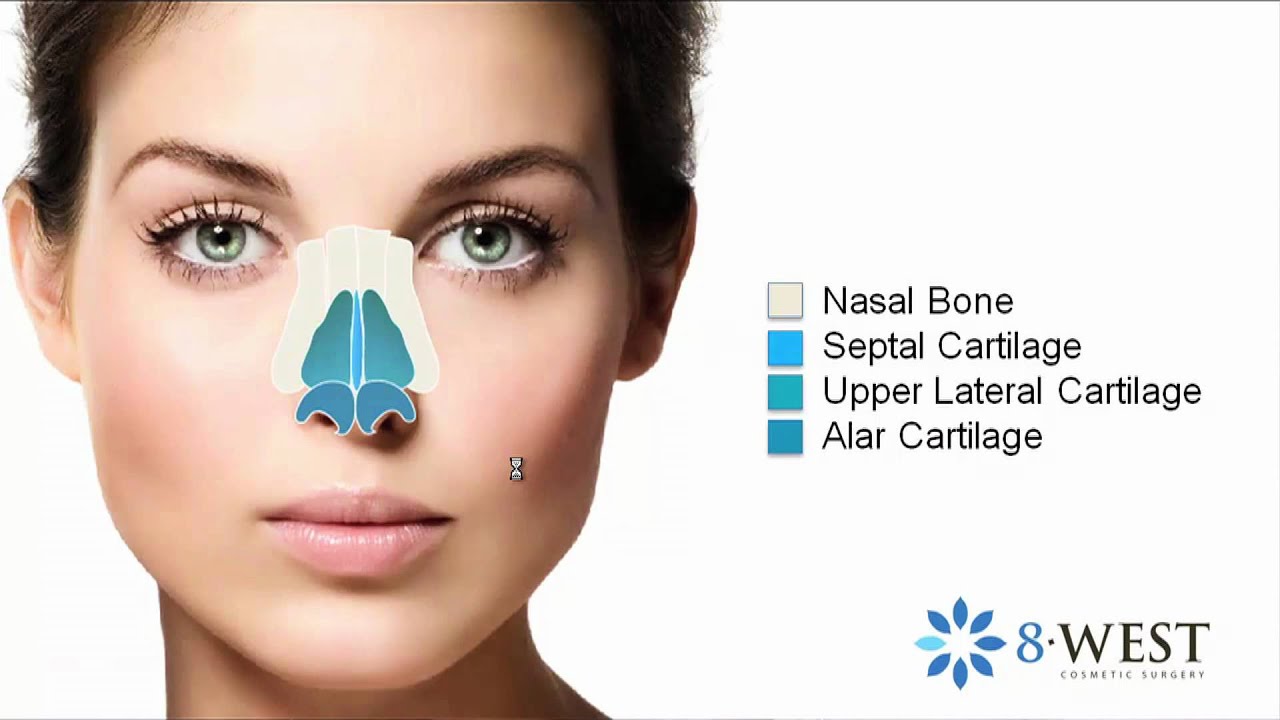 The Nose: Anatomy, Form & Function for Rhinoplasty | Dr. Buonassisi, 8 West Clinic in Vancouver BC