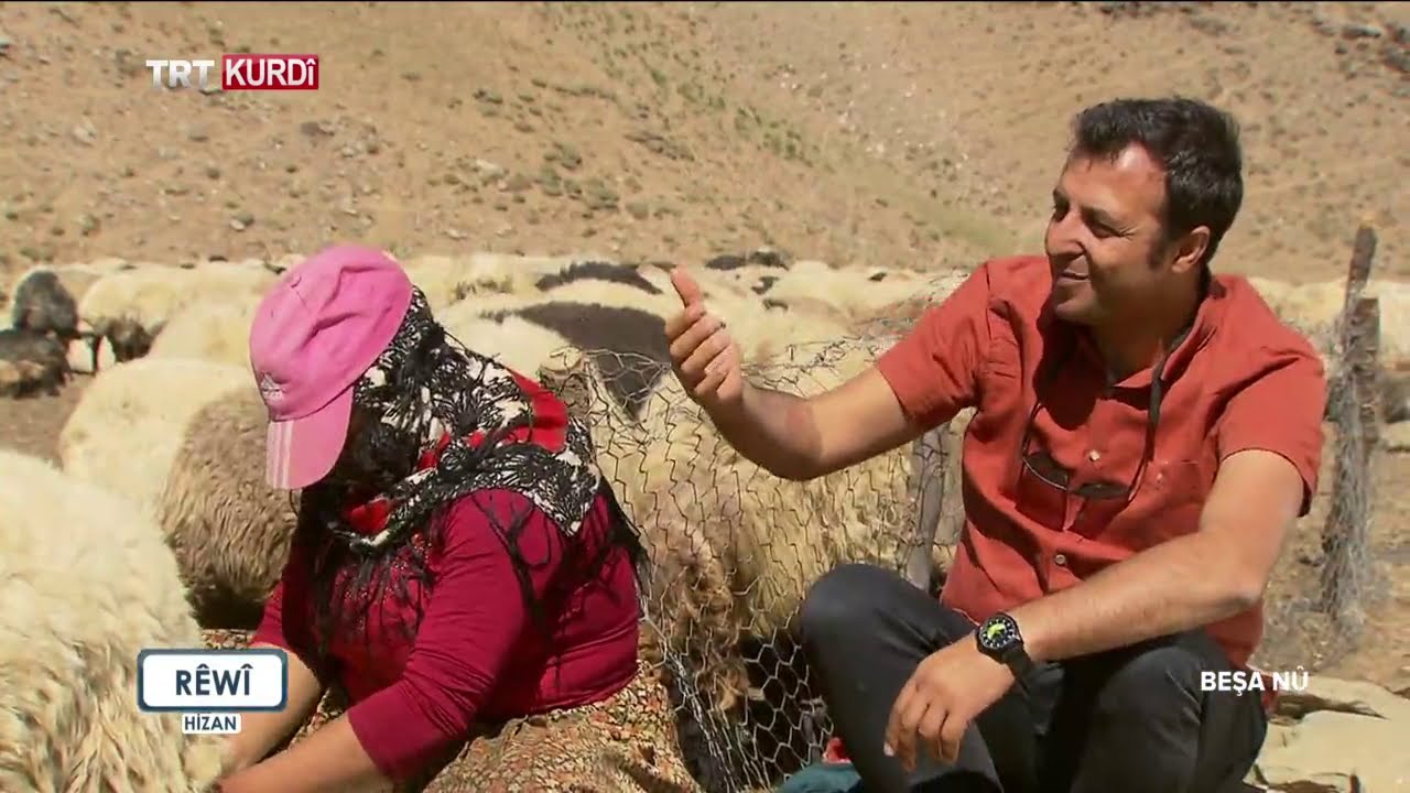 Rêwî - Beşa 290. (Bitlis)