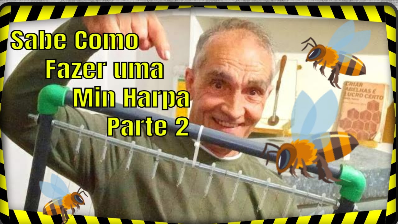 VESPA ASIATICA  Fazer uma  Min  Harpa Parte 2 #yutube_videos #vespaasiática @Euclides Santana Santana