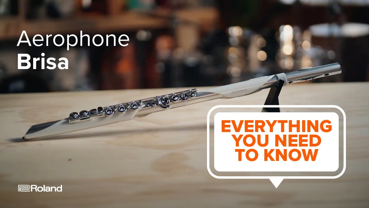 Roland Aerophone Brisa | Everything You Need to Know (Featuring Elena Pinderhughes)