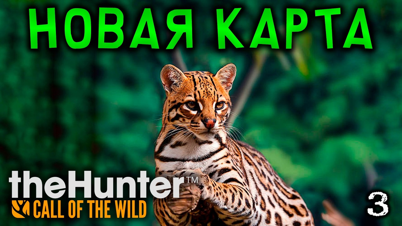 НОВАЯ КАРТА! Peru Hunting Reserve Intisuyu ► theHunter: Call of the Wild