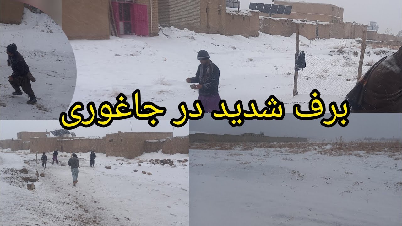 بارندگی در جاغوری به شدد ادامه دارد سه نفر از شوق برف سنگرگ بازی می کند 