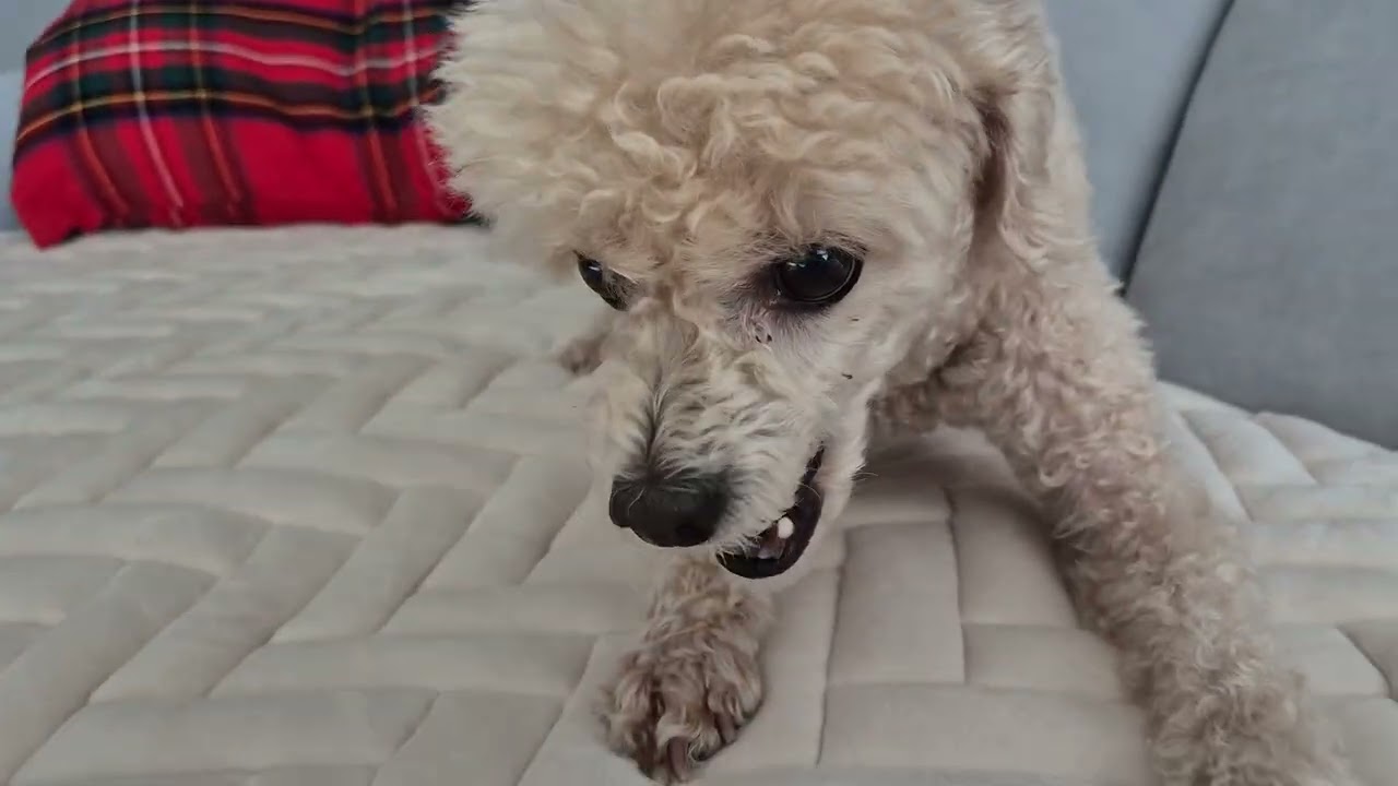 옷 벗겼다고 난리나버림