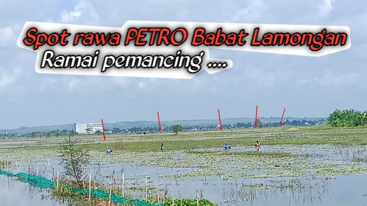 RAMAI PEMANCING❗ Spot Rawa PETRO Babat Lamongan