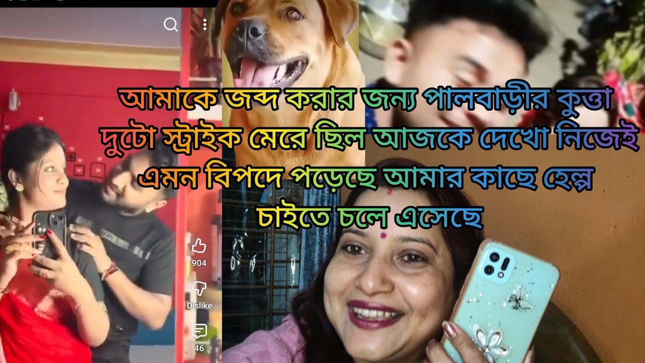 সবাই শোনো পাল বাড়ির কুত্তা আমাকে ফোন করে হেল্প চাইছে ☎️