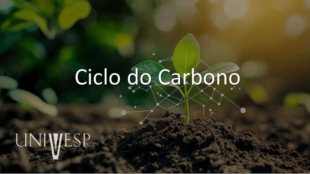Ciências do Ambiente - Ciclo do Carbono