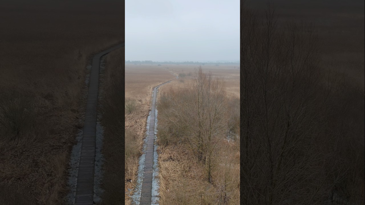 STAWY BAGNA PRZEMKOWSKIE &ndash; Magia Bagien i Rozlewisk, widok z wieży widokowej.#travel #adventure