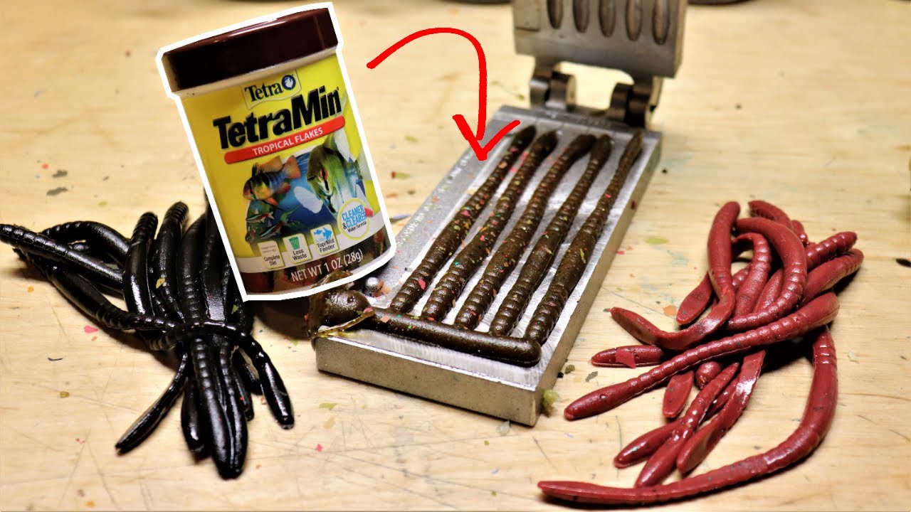 Putting FISH FOOD in WORMS! (Crazy)