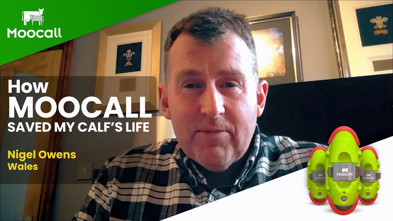 Nigel Owens, from Wales, talks about the Moocall Calving Sensor!