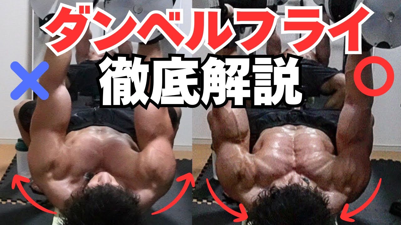 【筋トレ】胸の内側まで効かせるダンベルフライのやり方を解説