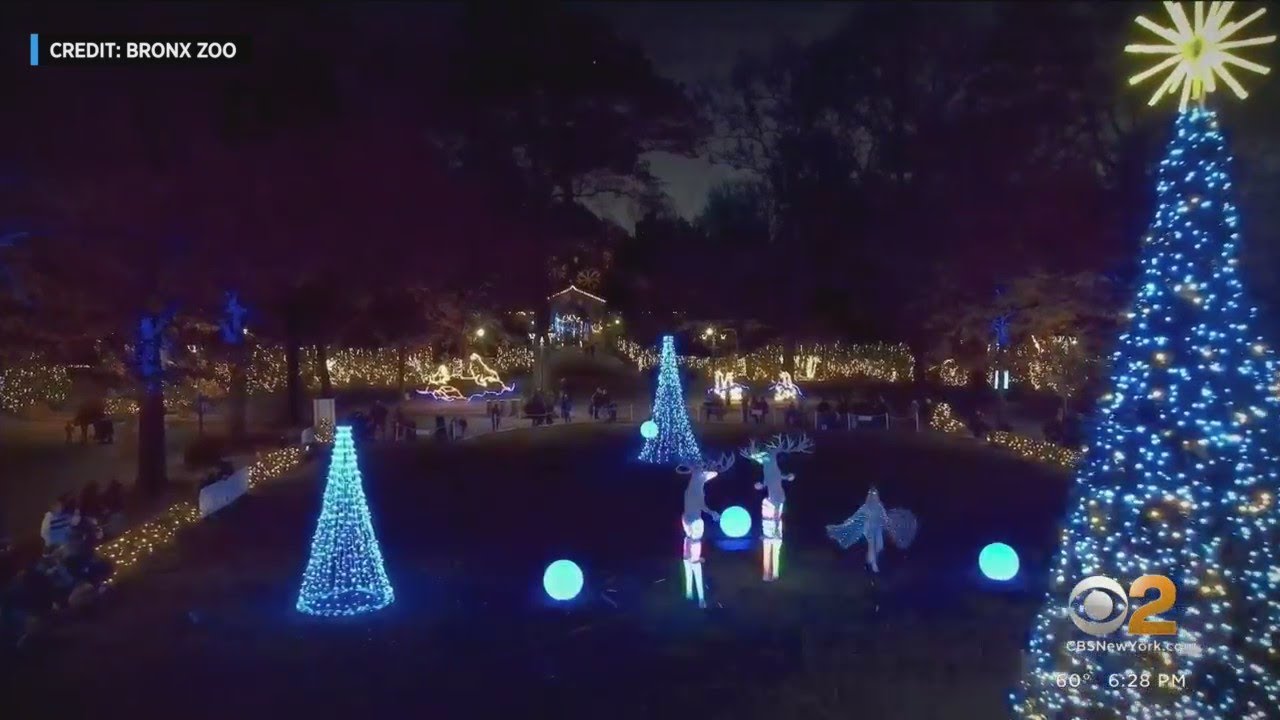 Holiday lights return in November at the Bronx Zoo