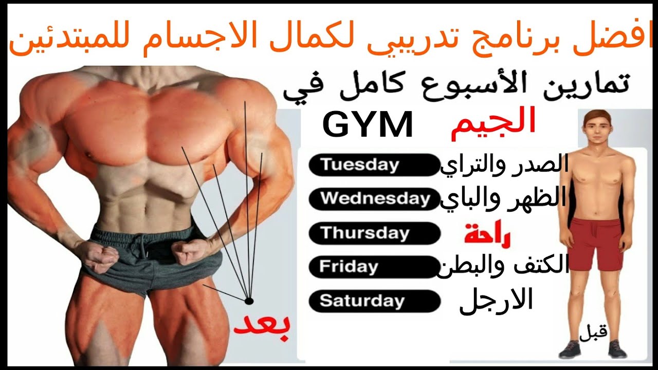 برنامج تدريبي لكمال الاجسام للمبتدئين لتضخيم العضلات 4 ايام _ تمارين كمال اجسام