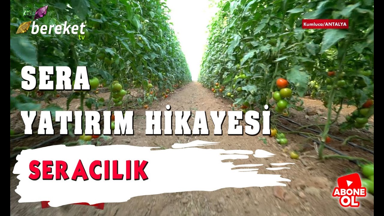 Çiftlik Projem | Seracılık | Sera Yatırım Hikayesi 1. Bölüm