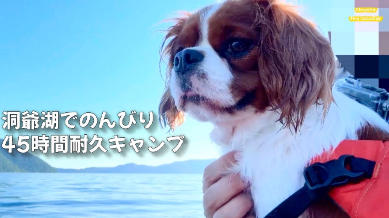 45時間ずっと外にいる - 洞爺水辺の里 財田キャンプ場【北海道暮らし キャバリア】