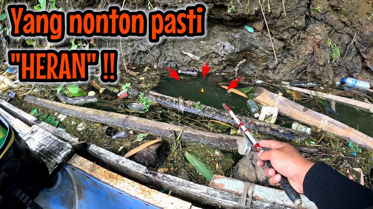 SETIAP ORANG YANG NONTON PASTI HERAN ‼️ mancing ikan red devil NAHOL MANIA