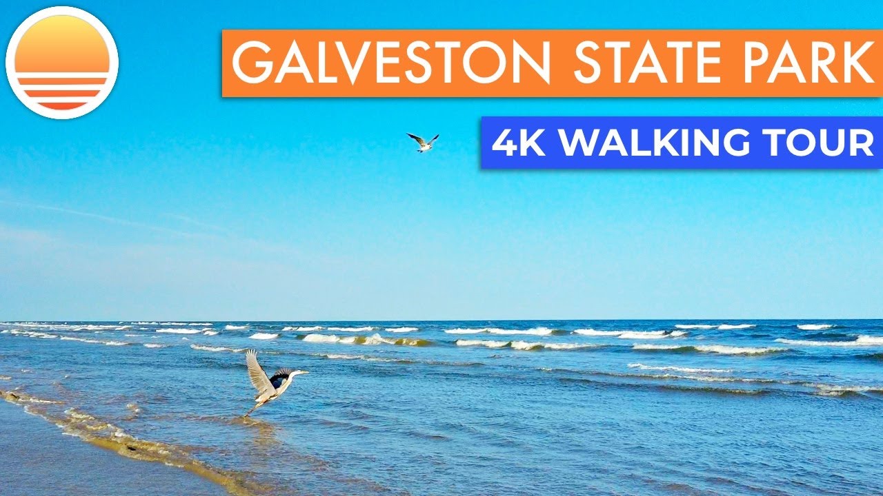 The Beach in Galveston Island State Park, Galveston Island Texas! Walk with me on the beach!