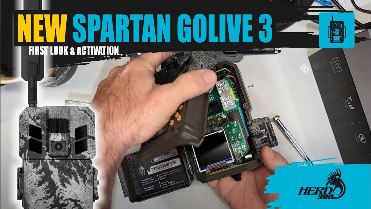 Spartan Golive 3: первый взгляд и активация