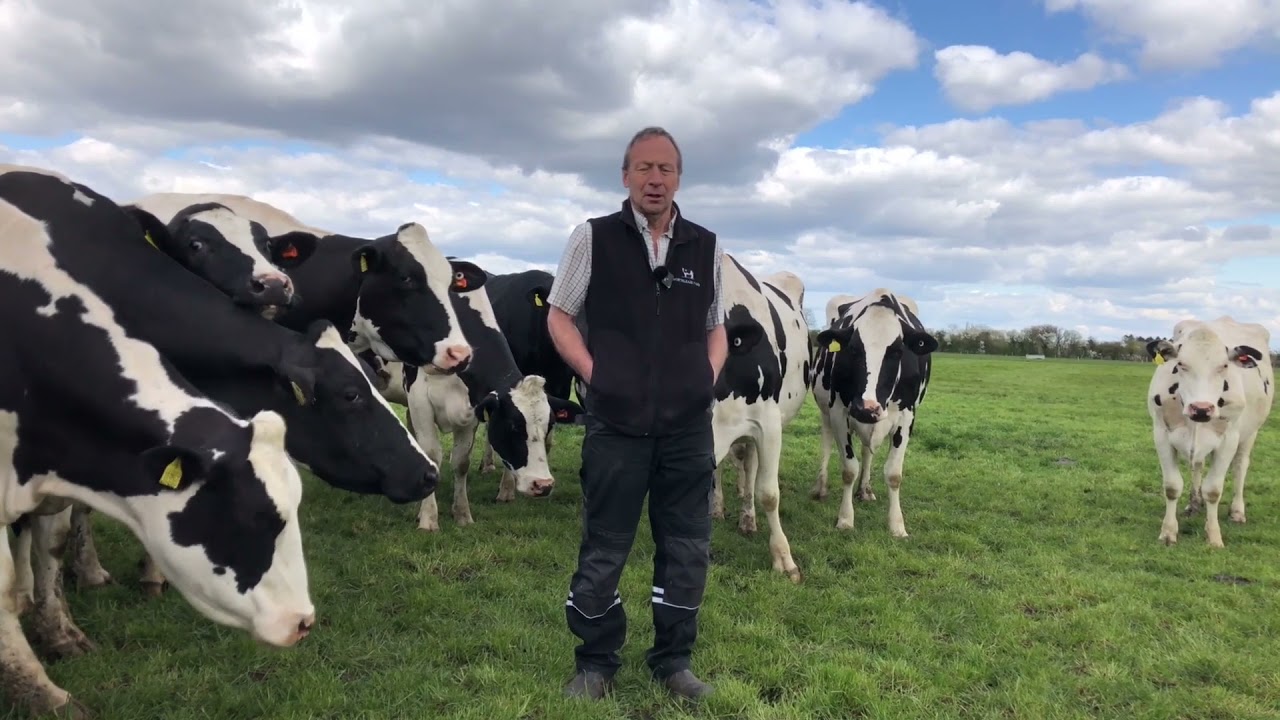 An introduction to Northleaze Farm