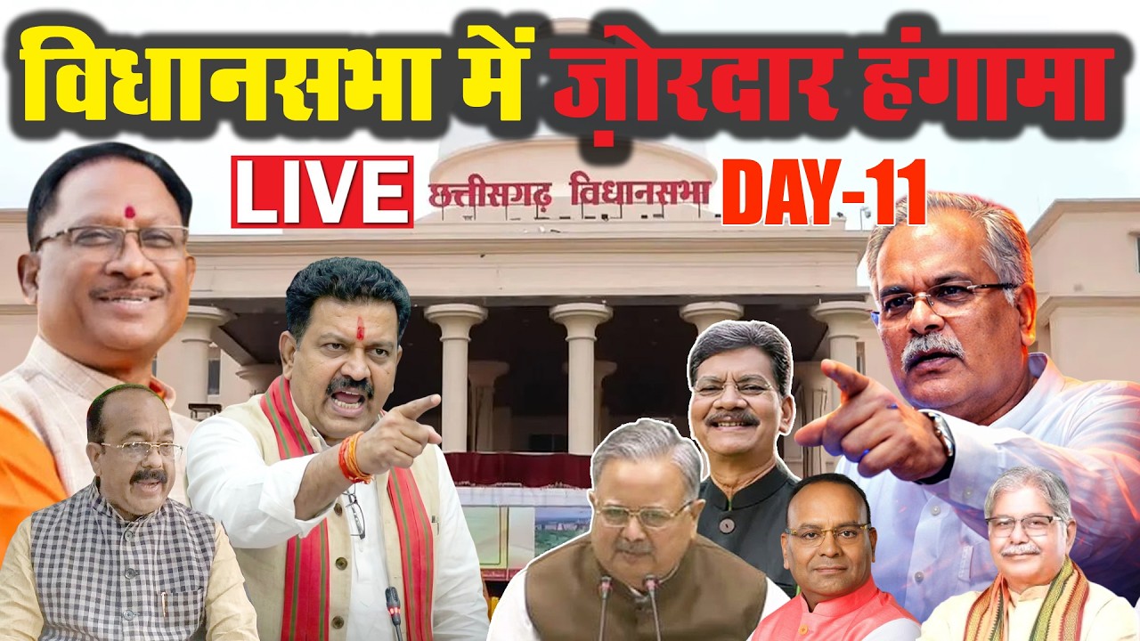 बड़ी खबर LIVE | विधान सभा Day 11 लाइव  |आज की ताज़ा खबर | Breaking News Live  | Navpradesh TV