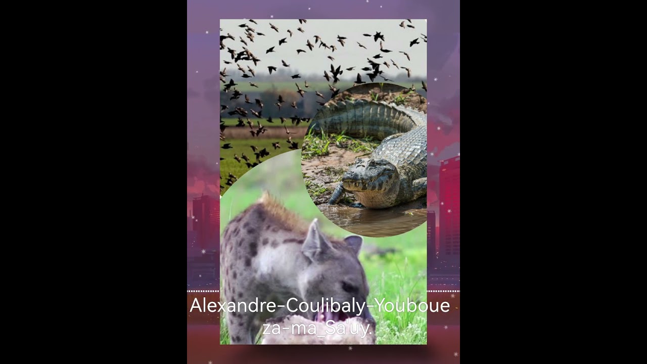 Alexandre-Coulibaly-Youbouéza biyo_ma Sa'uy