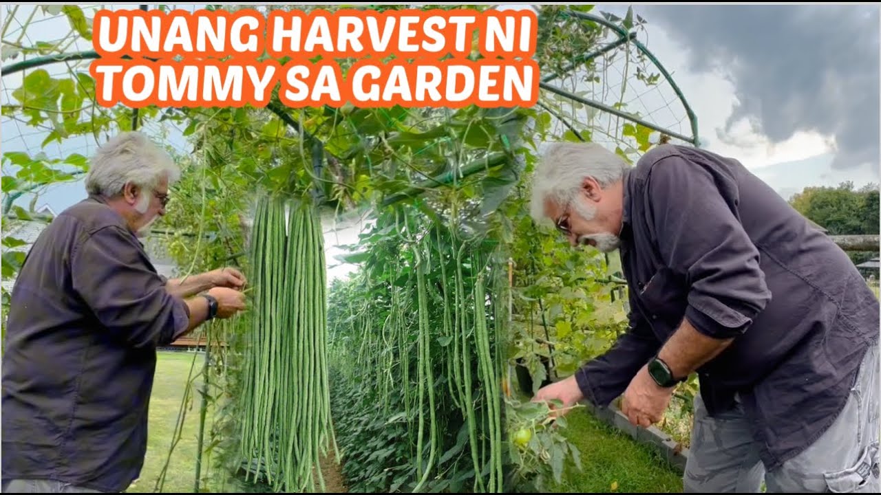 Pinay sa Amerika - HINDI SANAY SI KANO SA GARDEN