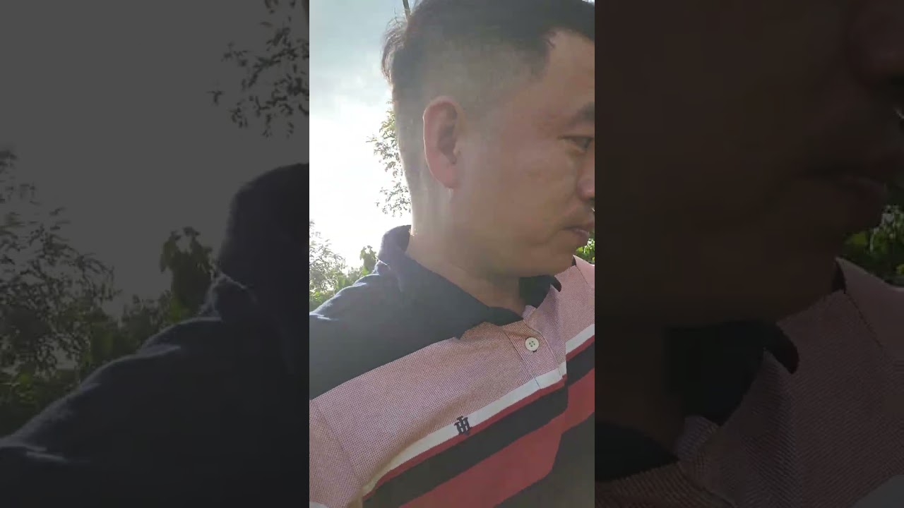 Rau nhà gà thả vườn