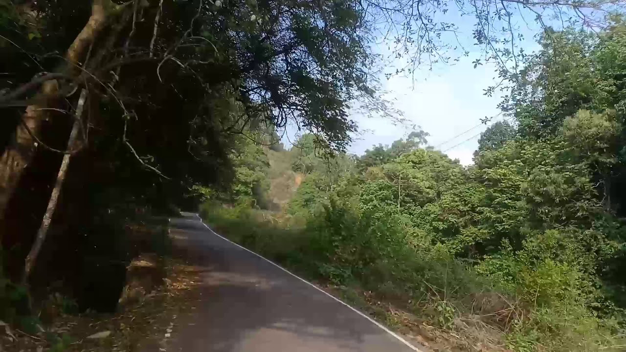 Bike ride through athirapilly valapara forest route