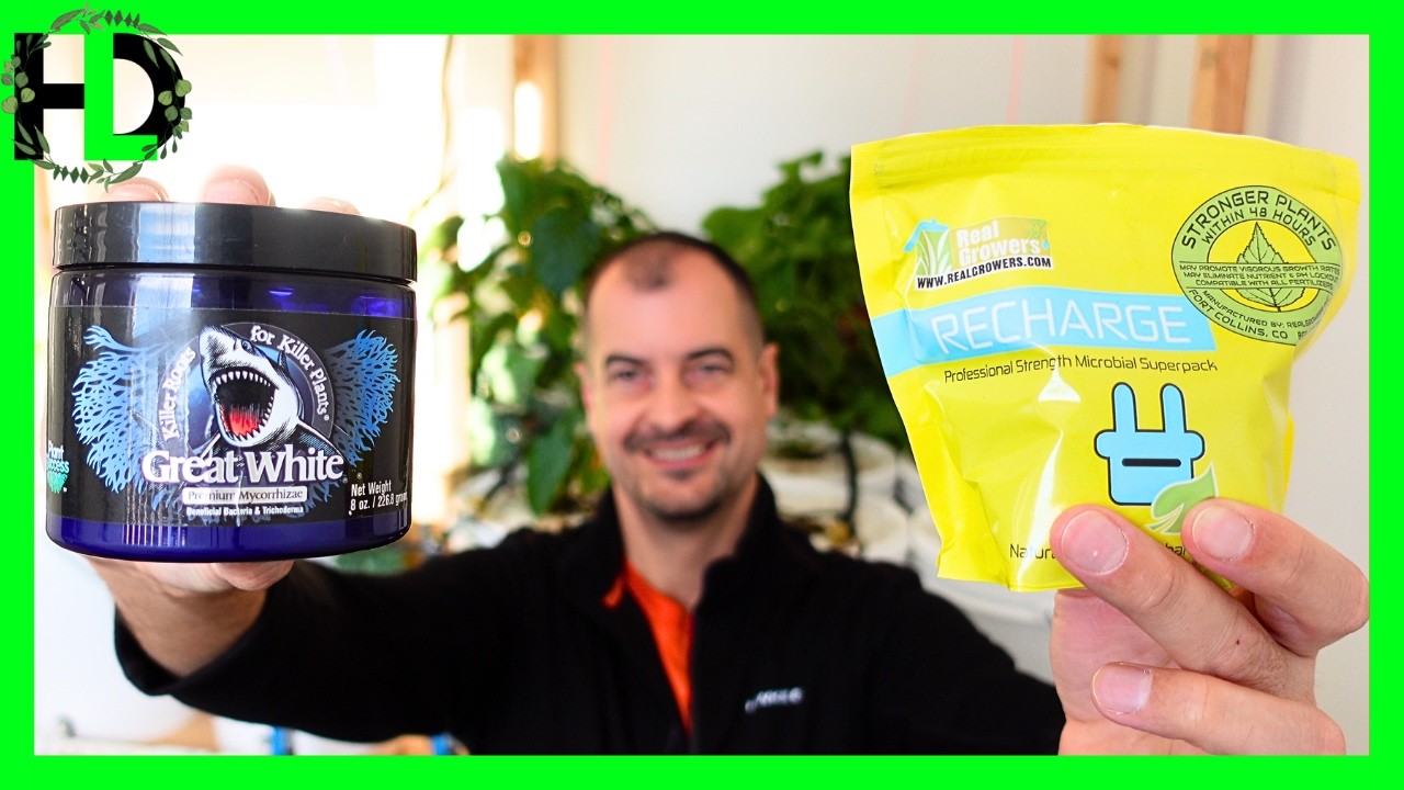 Recharge vs. Great White: Which Microbial Inoculant is Better? (Side-by-Side Test)