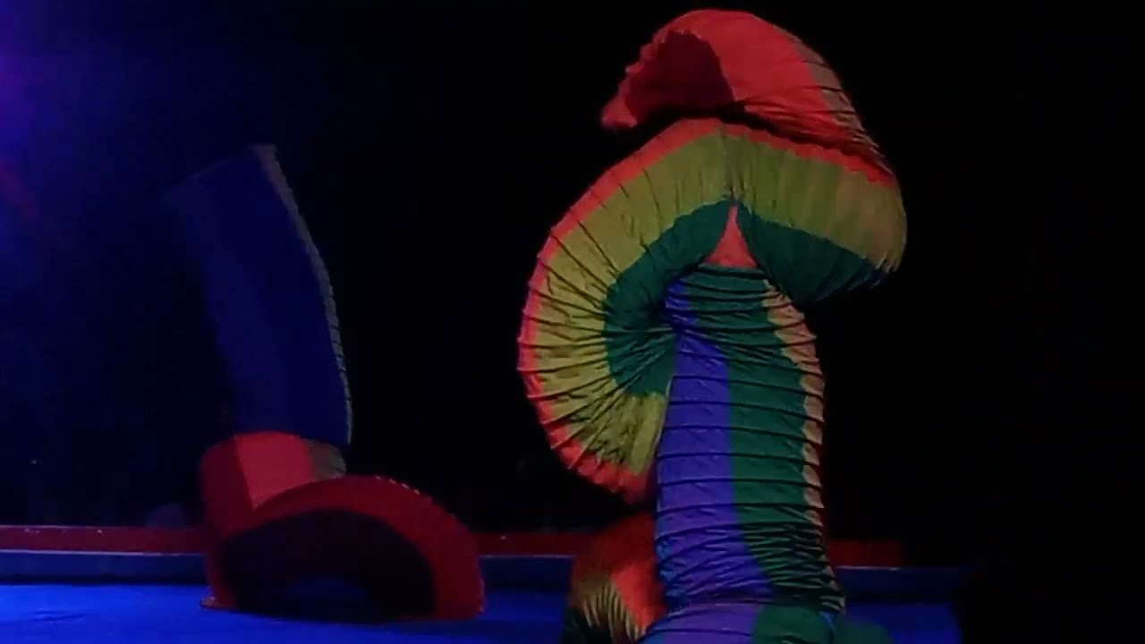 Asiatic Circus part 2 ♥️