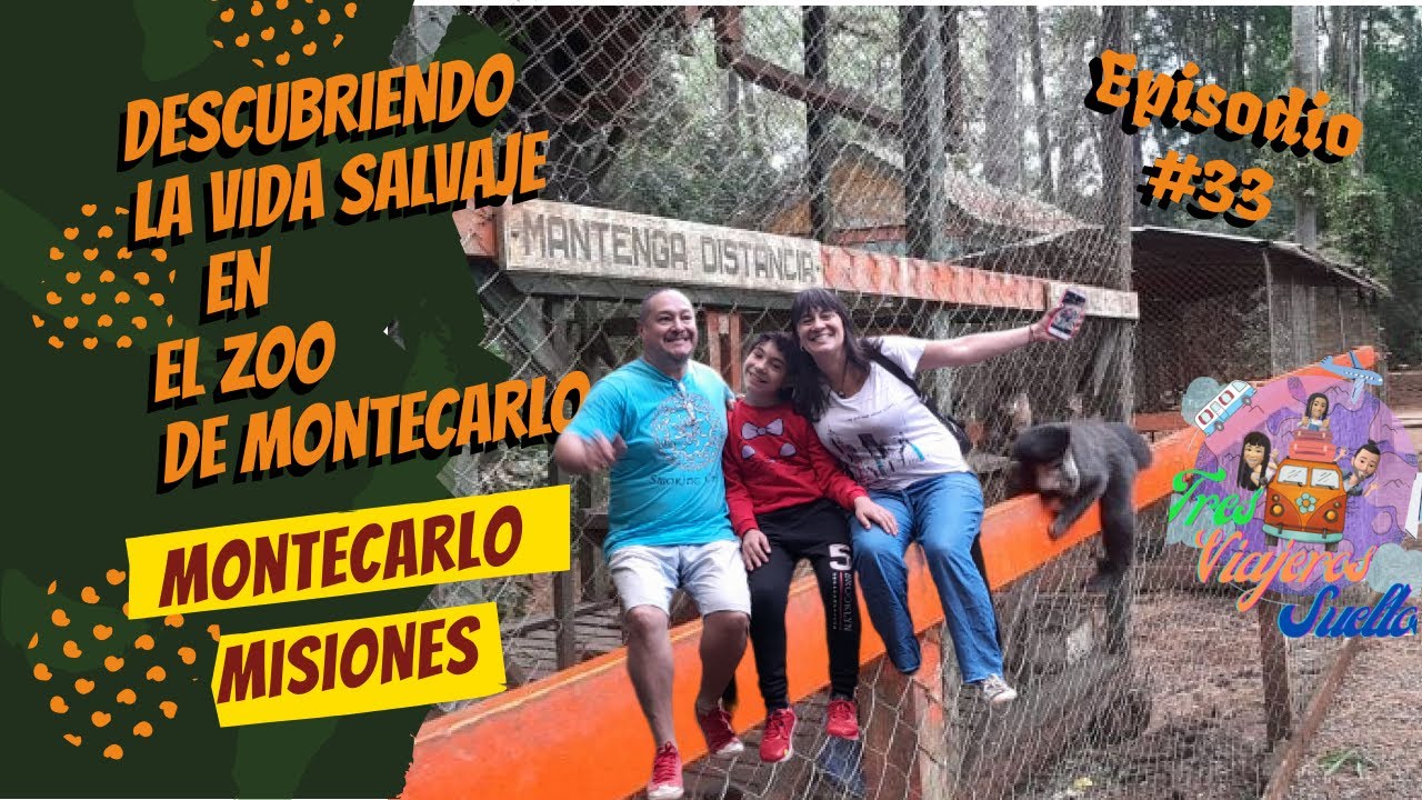 Descubriendo la vida salvaje🐒🐊🐿 en el Zoo 🦥🦨de Montecarlo Misiones
