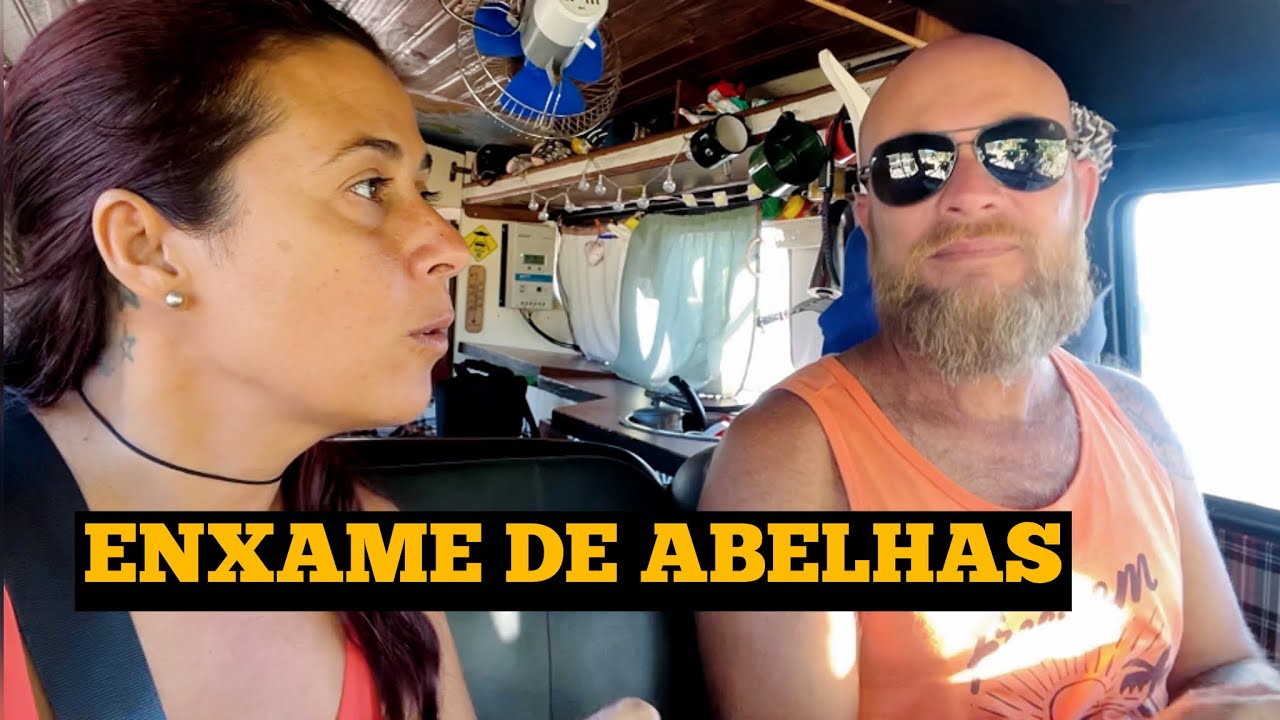 PASSAMOS COM A KOMBI POR UM ENXAME DE ABELHAS