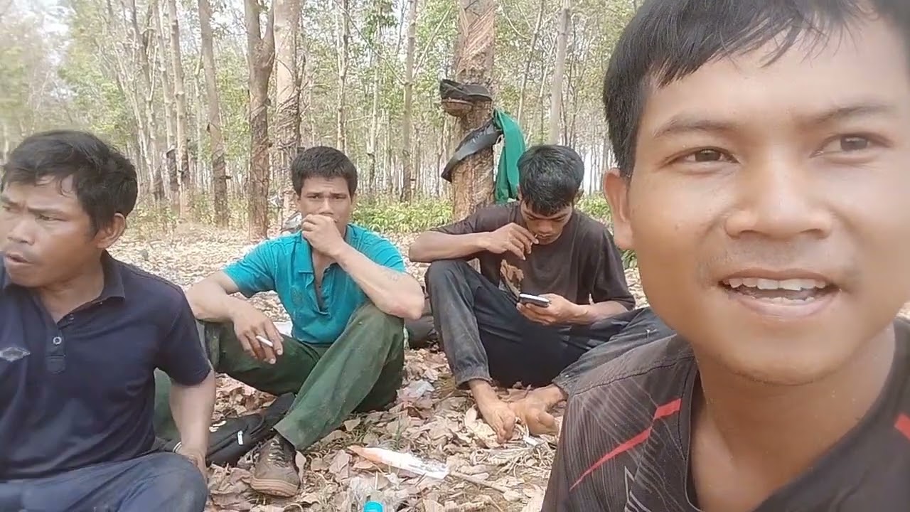 Công việc đi Bóc củi (SiA TV)