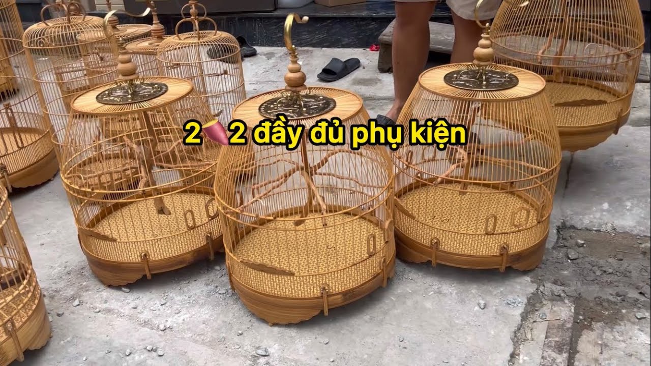 Báo giá các mẫu lồng chim ít có trên thị trường - Lửa size lớn ,chum cầu rễ ,cu gáy tre,hút mật tròn