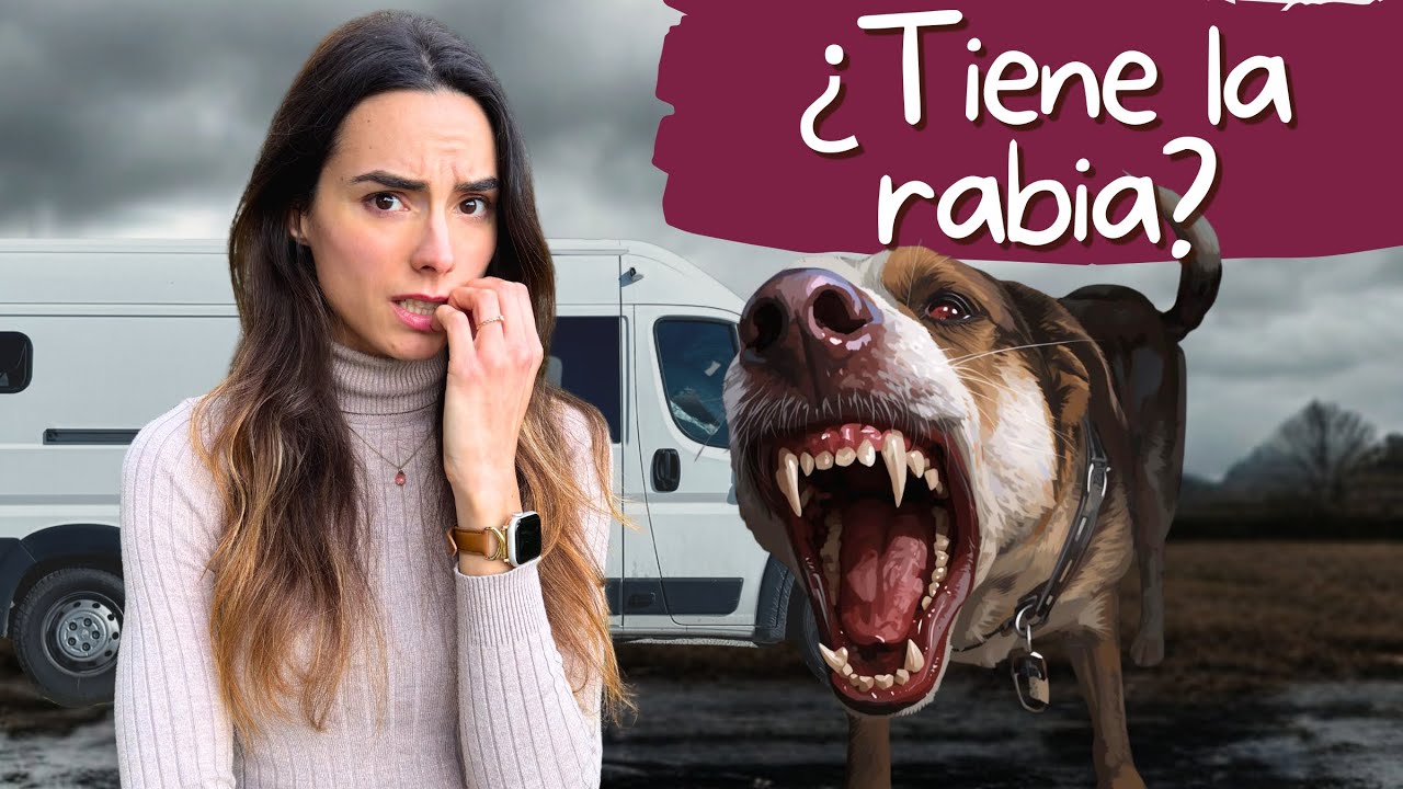 La CARA B de VIAJAR: mordida de perro, días de miedo y angustia
