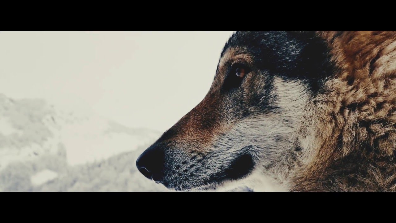 Mike Lennon - Lost Souls (prod. by Mike Lennon)