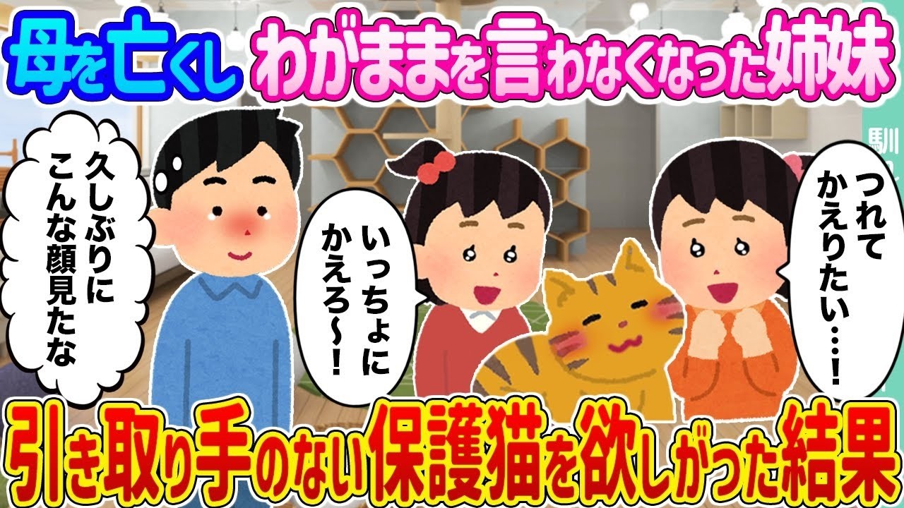 【2ch馴れ初め】母を亡くしわがままを言わなくなった姉妹 →引き取り手のない保護猫を欲しがった結果   【ゆっくり】
