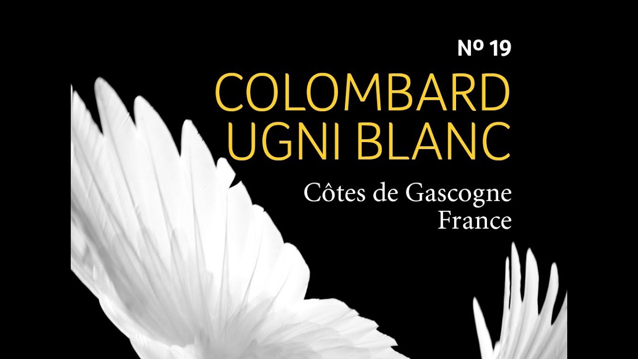 The Finest Grapes - N&deg;19 Colombard / Ugni Blanc - C&ocirc;tes de Gascogne, Frankrijk