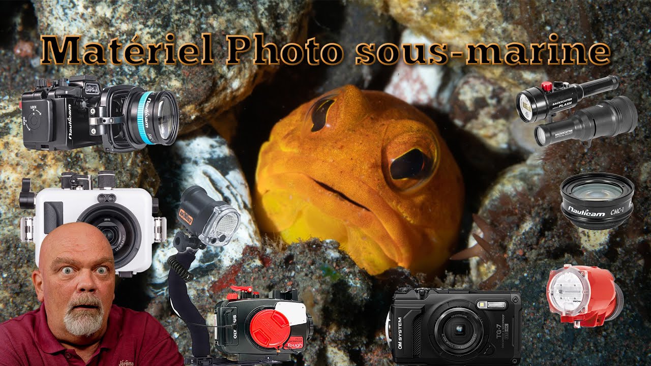 Matériel indispensable pour débutants en photographie sous-marine