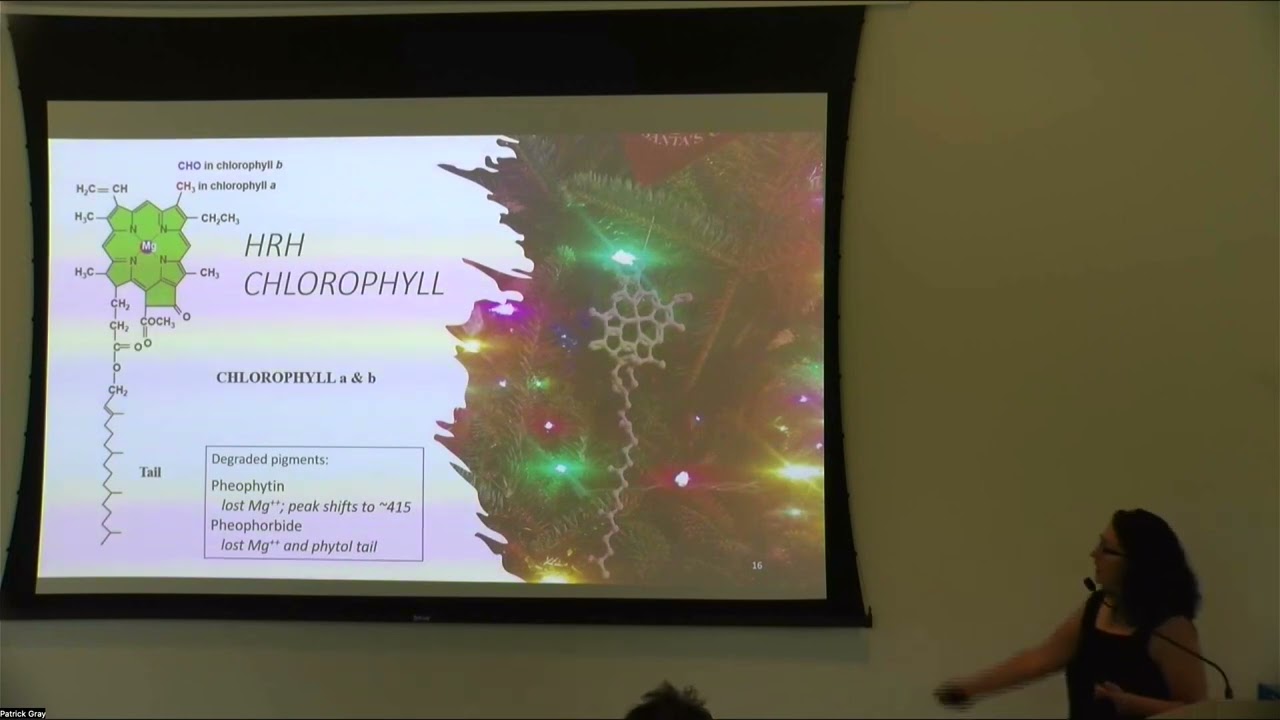 Lecture 11: Chlorophyll fluorescence