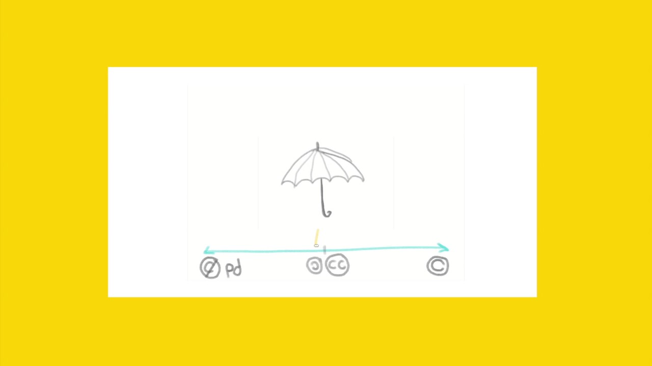 Some Copyright, open licenses and public domain in digital collections