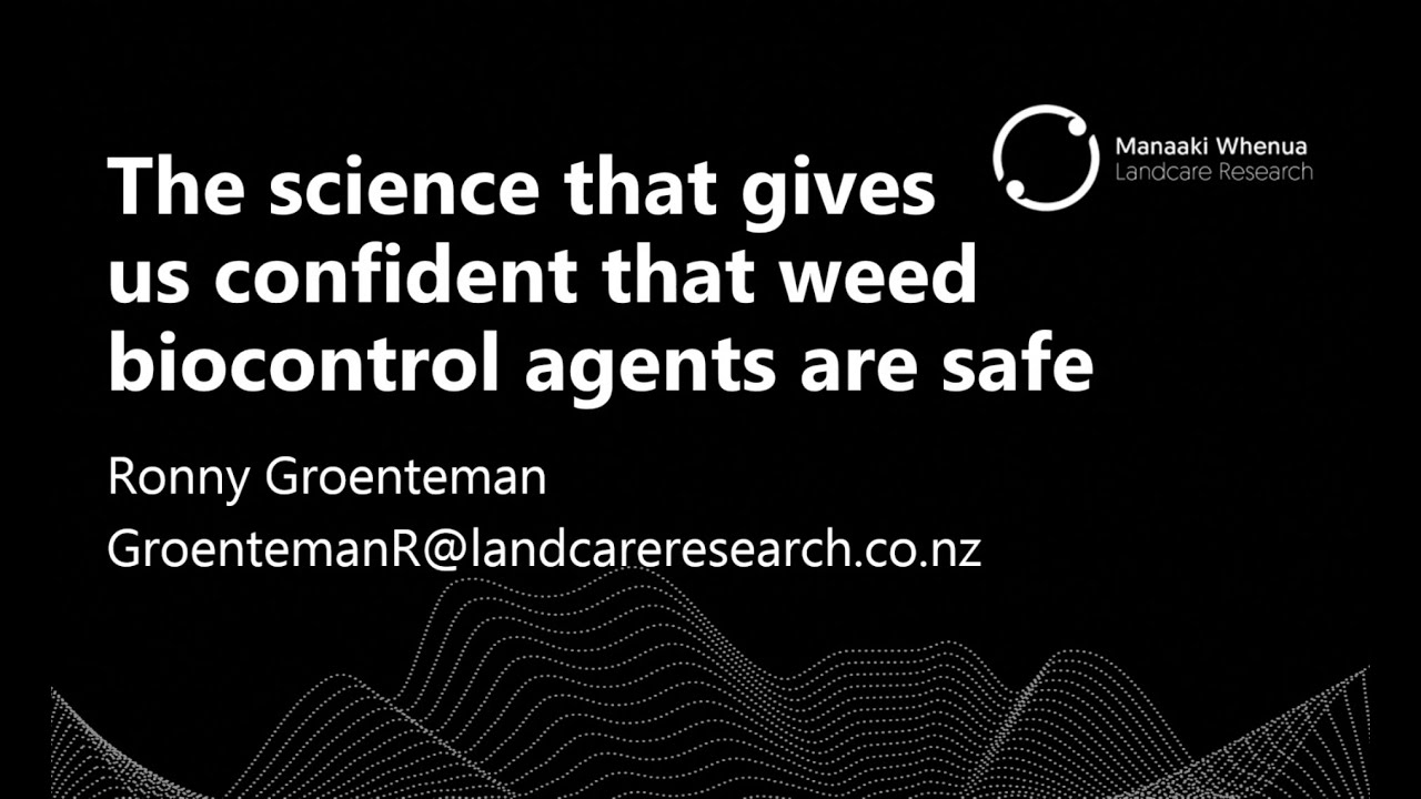 The science that gives us confidence that weed biocontrols are safe - Feb 2025