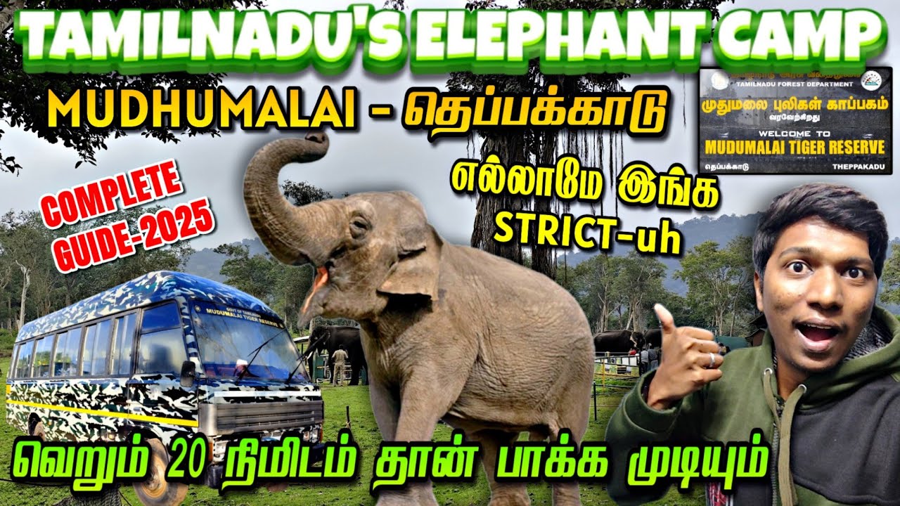🐘TAMILNADU'S STRICT ELEPHANT CAMP!!! THEPPAKAADU யானைகள் முகாம்-முதுமலை,நீலகிரி | Naveen Kumar